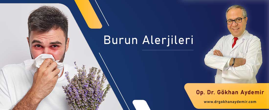Burun Alerjileri